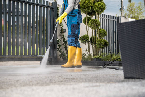 Best Deck Cleaning Services  in Walcott, IA