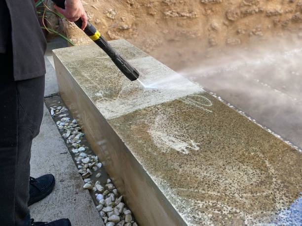 Best Pressure Washing Near Me  in Walcott, IA