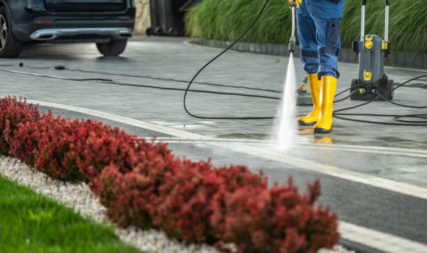 Best Exterior Home Cleaning  in Walcott, IA