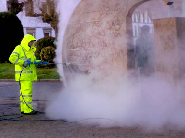 Best Power Washing Near Me  in Walcott, IA