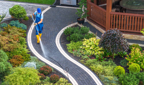 Best Deck Pressure Washing  in Walcott, IA