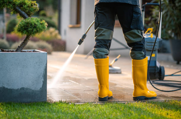 Best Residential Pressure Washing Services  in Walcott, IA